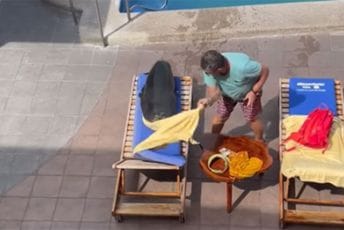 Morski lav "oteo" gostu ležaljku Morski lav "oteo" gostu ležaljku