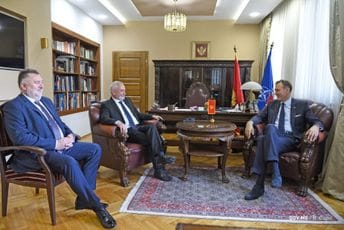 Krivokapić-Mareš: Višegradska grupa sjajan primjer za zemlje Zapadnog Balkana Krivokapić-Mareš: Višegradska grupa sjajan primjer za zemlje Zapadnog Balkana