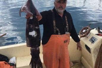 Nekako čudno piše riječ lignja... Nekako čudno piše riječ lignja...