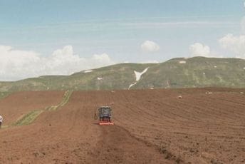 Janjušević: Posađeno više krompira, ali i cijena će biti veća Janjušević: Posađeno više krompira, ali i cijena će biti veća