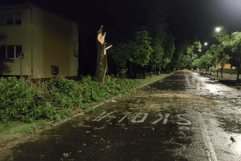 Snažno nevrijeme u Hrvatskoj rušilo stabla Snažno nevrijeme u Hrvatskoj rušilo stabla