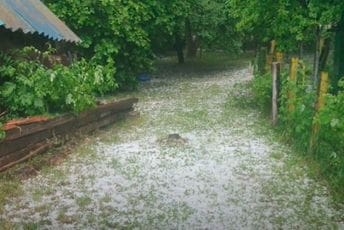 Nevrijeme u Pljevljima uništilo usjeve i voćke (VIDEO) Nevrijeme u Pljevljima uništilo usjeve i voćke (VIDEO)