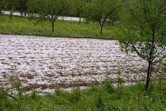Gest za poštovanje: Poklanja sadnice Nikšićanima kojima je grad uništio povrće Gest za poštovanje: Poklanja sadnice Nikšićanima kojima je grad uništio povrće