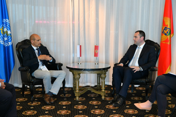 Šćekić-Fearne: Saradnja u oblasti zdravstva dragocjena za Crnu Goru i Maltu Šćekić-Fearne: Saradnja u oblasti zdravstva dragocjena za Crnu Goru i Maltu