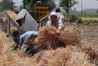 Ukrajinski ministar upozorava svijet: Prijeti kritična nestašica hrane ako Rusi ne odblokiraju luke Ukrajinski ministar upozorava svijet: Prijeti kritična nestašica hrane ako Rusi ne odblokiraju luke