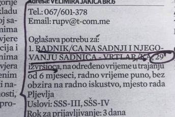 Rudnik uglja zapošljava čak 29 vrtlara