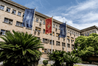 Državne institucije gazduju sa 4.525 službenih vozila Državne institucije gazduju sa 4.525 službenih vozila