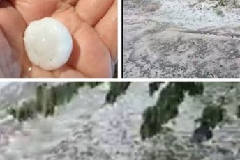 Nevrijeme u Nikšiću, grad uništio bašte i voće (VIDEO) Nevrijeme u Nikšiću, grad uništio bašte i voće (VIDEO)