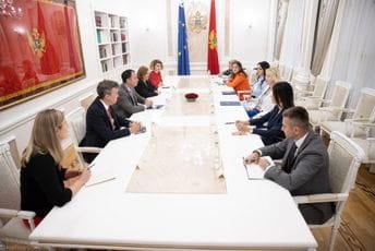 Đurović - Benjamin: Formirati novu radnu grupu za izradu Zakona o Skupštini Đurović - Benjamin: Formirati novu radnu grupu za izradu Zakona o Skupštini