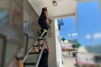 Akcija barskih vatrogasaca: Lastu vratili u gnijezdo, uhvatili zmiju u radionici