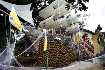 Šri Lanka: Državni službenici uzimaju slobodan dan i gaje usjeve Šri Lanka: Državni službenici uzimaju slobodan dan i gaje usjeve