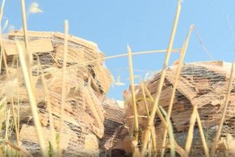 BiH zabranila izvoz drveta i peleta BiH zabranila izvoz drveta i peleta