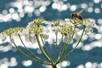 Izložba fotografija Marije Perović u KIC-u “Budo Tomović” Izložba fotografija Marije Perović u KIC-u “Budo Tomović”