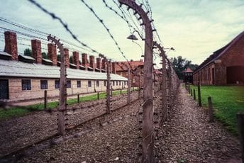 Oko 245.000 Jevreja koji su preživjeli Holokaust i dalje živi Oko 245.000 Jevreja koji su preživjeli Holokaust i dalje živi