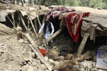 SAD razmatraju humanitarni odgovor nakon razornog zemljotresa u Avganistanu SAD razmatraju humanitarni odgovor nakon razornog zemljotresa u Avganistanu