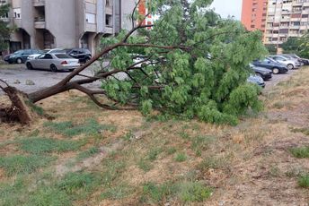 Nevrijeme u Podgorici napravilo haos: Usjevi uništeni, padalo drveće Nevrijeme u Podgorici napravilo haos: Usjevi uništeni, padalo drveće