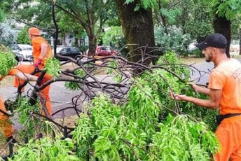 Podgorica: Gradske službe već na terenu, saniraju posljedice nevremena Podgorica: Gradske službe već na terenu, saniraju posljedice nevremena