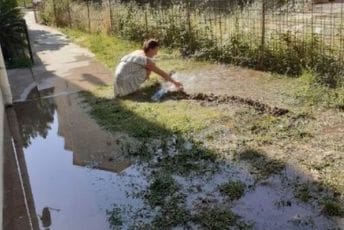 Budva: Havarija u naselju Rozino, nema vode za piće, dvorišta zgrada poplavljena Budva: Havarija u naselju Rozino, nema vode za piće, dvorišta zgrada poplavljena
