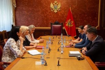 Aktualizovati temu zastupljenosti pripadnica manje brojnih naroda u društvenom životu Aktualizovati temu zastupljenosti pripadnica manje brojnih naroda u društvenom životu