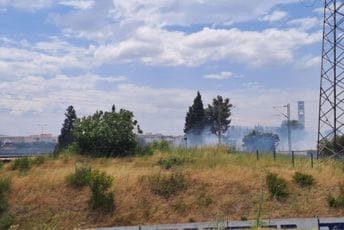 Ugašen požar u Maslinama Ugašen požar u Maslinama