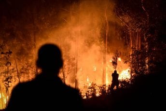 Veliki požari u Španiji i Portugalu: Uništene šume, zatvoreni auto-putevi Veliki požari u Španiji i Portugalu: Uništene šume, zatvoreni auto-putevi