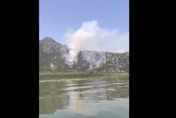 Gori šuma kod Virpazara Gori šuma kod Virpazara