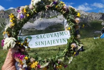 GI Sačuvajmo Sinjajevinu: Vlada da podrži predlog ministra Krapovića i poništi odluku o vojnom poligonu