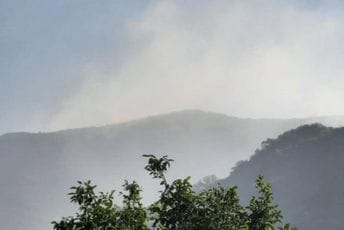 Širi se požar u Novom, vatrogasci na položaju, čeka se helikopter