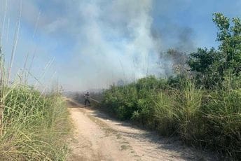 Gorjelo nisko rastinje i žbunje u Ulcinju: Intervenisali vatrogasci Arhiva
