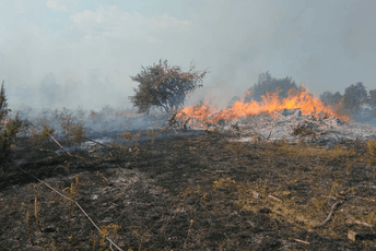 Veliki šumski požar u Sjevernoj Makedoniji Veliki šumski požar u Sjevernoj Makedoniji