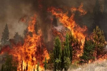 U sezoni požara najmanji nemar ili namjera su prečica do pakla U sezoni požara najmanji nemar ili namjera su prečica do pakla