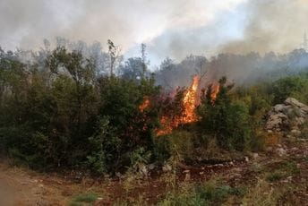 Ugašen požar u Piperima: Vatrogasci spriječili da vatra zahvati objekte Ugašen požar u Piperima: Vatrogasci spriječili da vatra zahvati objekte