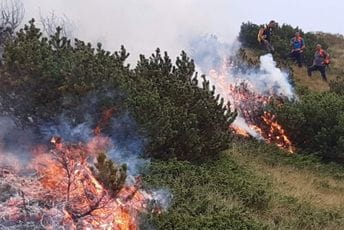 Gorjelo u NP "Durmitor": Zbog nepristupačnog terena požar gašen priručnim sredstvima Gorjelo u NP "Durmitor": Zbog nepristupačnog terena požar gašen priručnim sredstvima