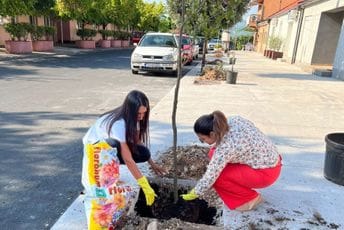 SM DPS organizovao akciju sadnje drveća SM DPS organizovao akciju sadnje drveća