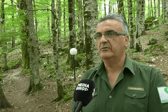 Biogradska gora u sigurnim rukama Mileta Rnkovića Biogradska gora u sigurnim rukama Mileta Rnkovića