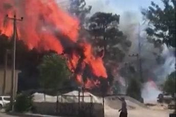 Bukti požar u Turskoj: Vatra zahvatila i hotel Bukti požar u Turskoj: Vatra zahvatila i hotel