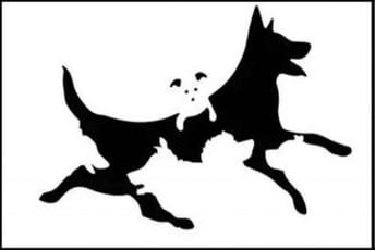 Broj pasa koje vidite na fotografiji otkriće vaš mentalni uzrast Broj pasa koje vidite na fotografiji otkriće vaš mentalni uzrast