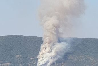 Herceg Novi: Požar se brzo širi, u gašenju učestvuju avion i vatrogasci iz više gradova Herceg Novi: Požar se brzo širi, u gašenju učestvuju avion i vatrogasci iz više gradova