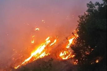 Nikšić: Borba protiv vatrene stihije u pograničnom predjelu traje četiri dana Nikšić: Borba protiv vatrene stihije u pograničnom predjelu traje četiri dana