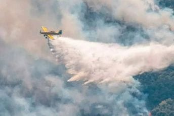 Ekološki pokret ,,Ozon“ pozvao Vladu i Skupštinu da nabave kanadere u susret sezoni šumskih požara Ilustracija