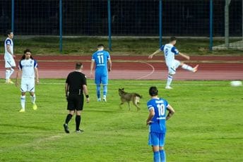 Neobičan prekid u Baru: Pas utrčao na teren, jurio za loptom, ometao golmana... (FOTO) Neobičan prekid u Baru: Pas utrčao na teren, jurio za loptom, ometao golmana... (FOTO)