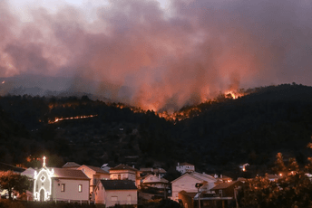 U Portugalu 10.000 hektara šume izgorjelo na zaštićenom području U Portugalu 10.000 hektara šume izgorjelo na zaštićenom području