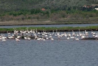 Avituristi popunjavaju predsezonu i postsezonu Avituristi popunjavaju predsezonu i postsezonu