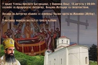 Dok čojska Crna Gora žali nedužne žrtve, ima i onih koji se vesele i pucaju Dok čojska Crna Gora žali nedužne žrtve, ima i onih koji se vesele i pucaju