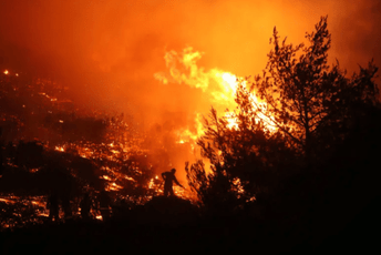 U šumskim požarima u Alžiru poginulo najmanje 37 osoba U šumskim požarima u Alžiru poginulo najmanje 37 osoba