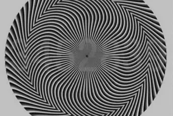 Optička iluzija zbunila mnoge, koji broj vidite na fotografiji? Optička iluzija zbunila mnoge, koji broj vidite na fotografiji?