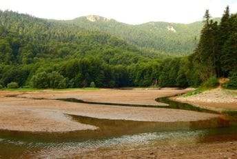 Alarm prašume: Biogradsko jezero blizu istorijskog minimuma Alarm prašume: Biogradsko jezero blizu istorijskog minimuma