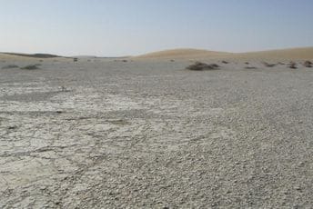 Čad: Više od 340.000 ljudi bilo pogođeno poplavama Čad: Više od 340.000 ljudi bilo pogođeno poplavama