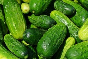 Krastavci su odlični u salatama, a jeste li ih ikada pržili?
