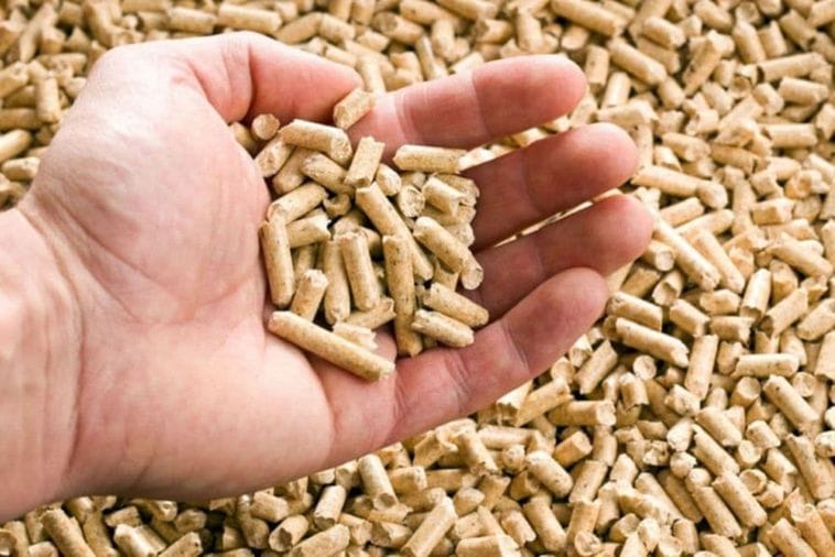 Nove brige za stanovnike Pljevalja, peleta nema u prodaji: Do "nestašice" došlo nakon što je Vlada ograničila cijene